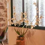 4 Private In The Heart Of *