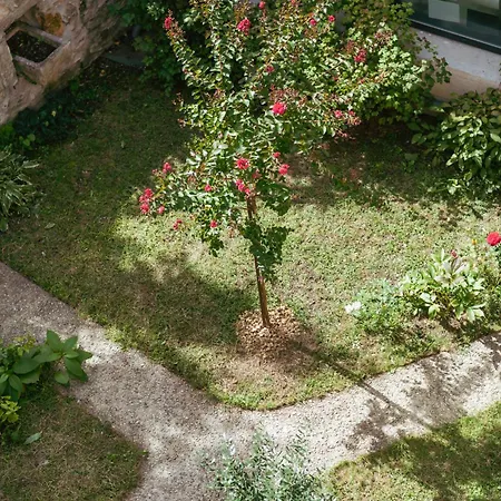 Maison Caviale, 4 Privees Au Coeur De Figeac, 4 Chambres, 4 Salles De Bain, Jardin * フィジャック